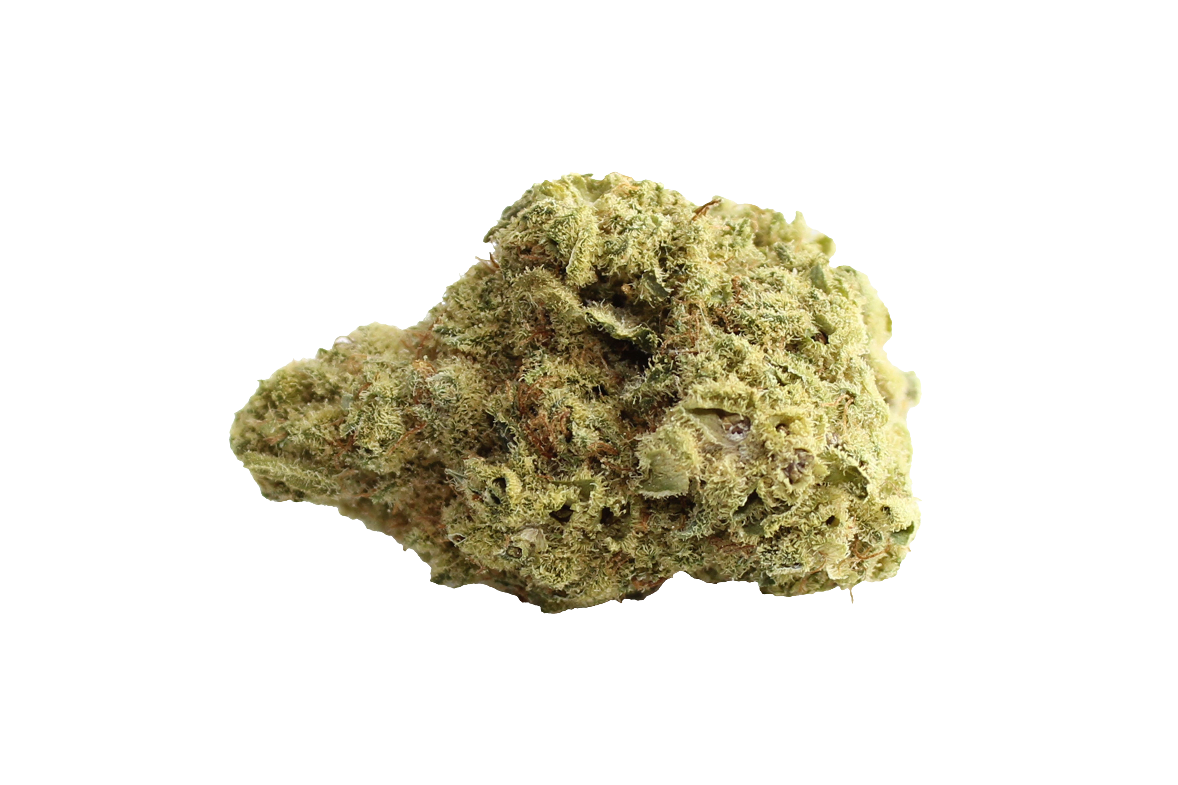 Remexian Eufloria 24/1 BAN Banjo Cannabisbluete