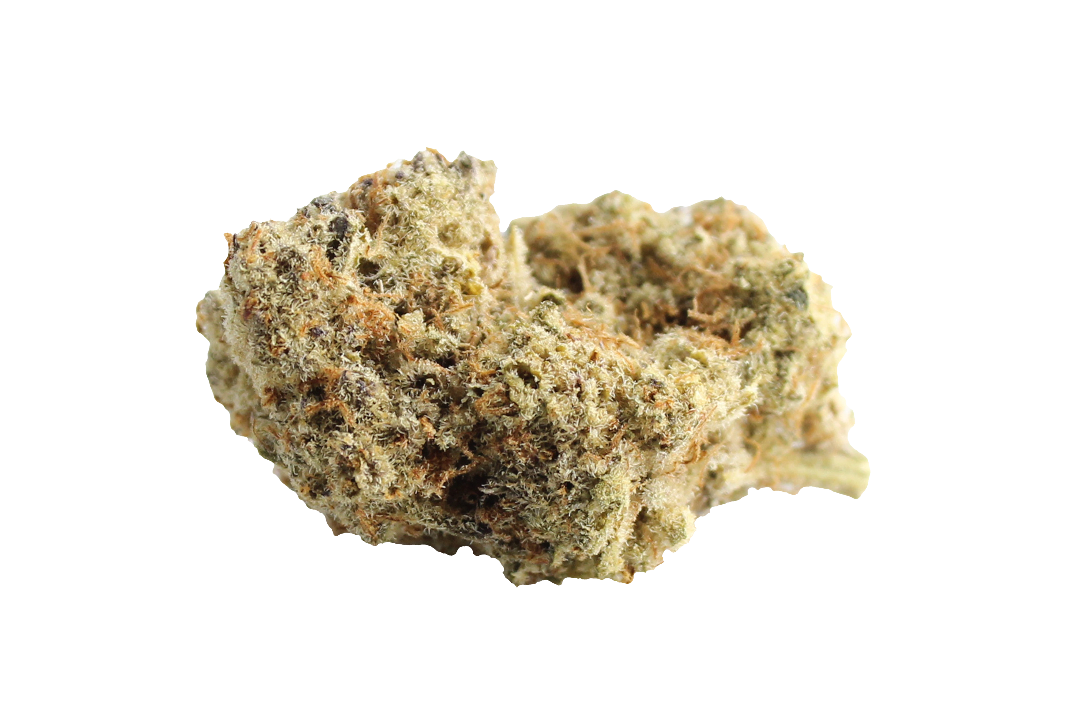 Four20Pharma 420 Evolution 27/1 CA MMI Miracle Mints Cannabisbluete