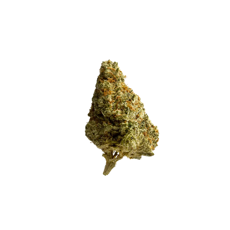 Huala 20/1 CA ALM: Alien Mints