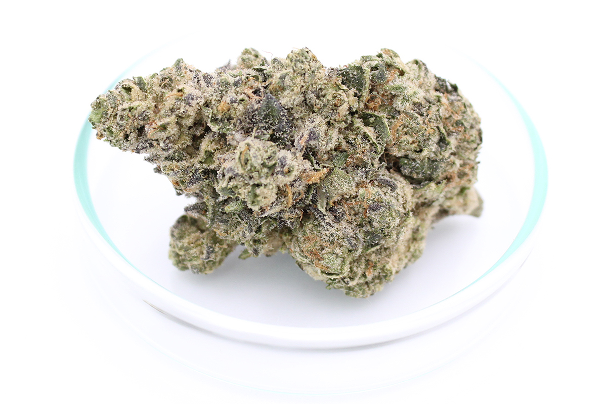 Avaay 32/1 AHC: Amnesia Haze Cake