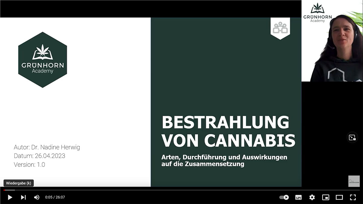 Verlinkung zu YouTube