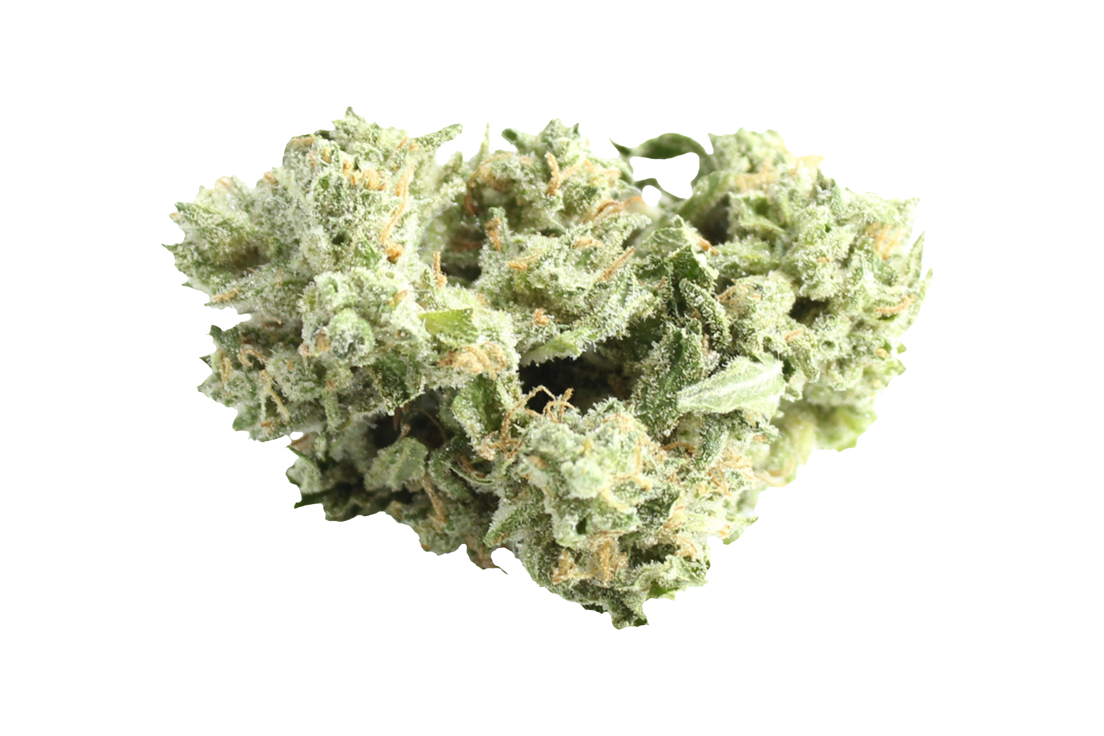 Enua 27/1 DSH CA Dark Shadow Haze Cannabisbluete