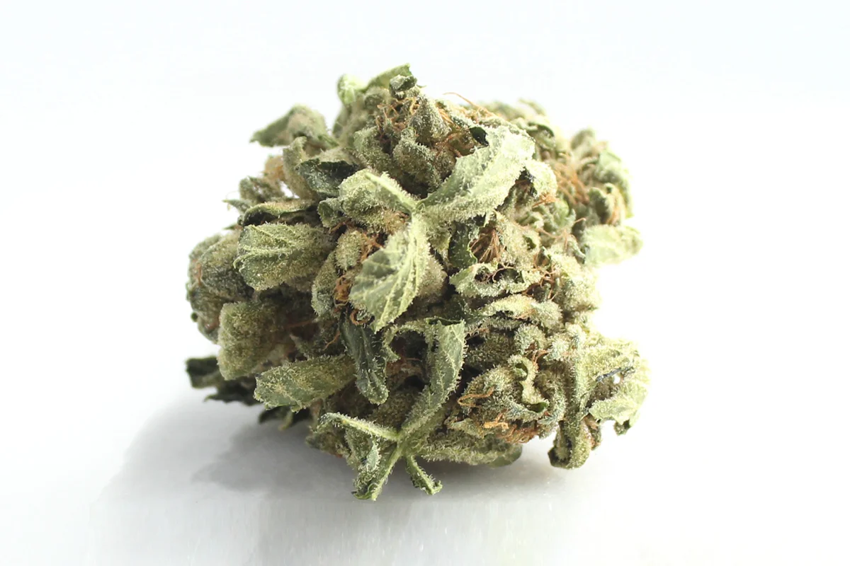 Tilray THC18 Spotlight Porto Master Kush