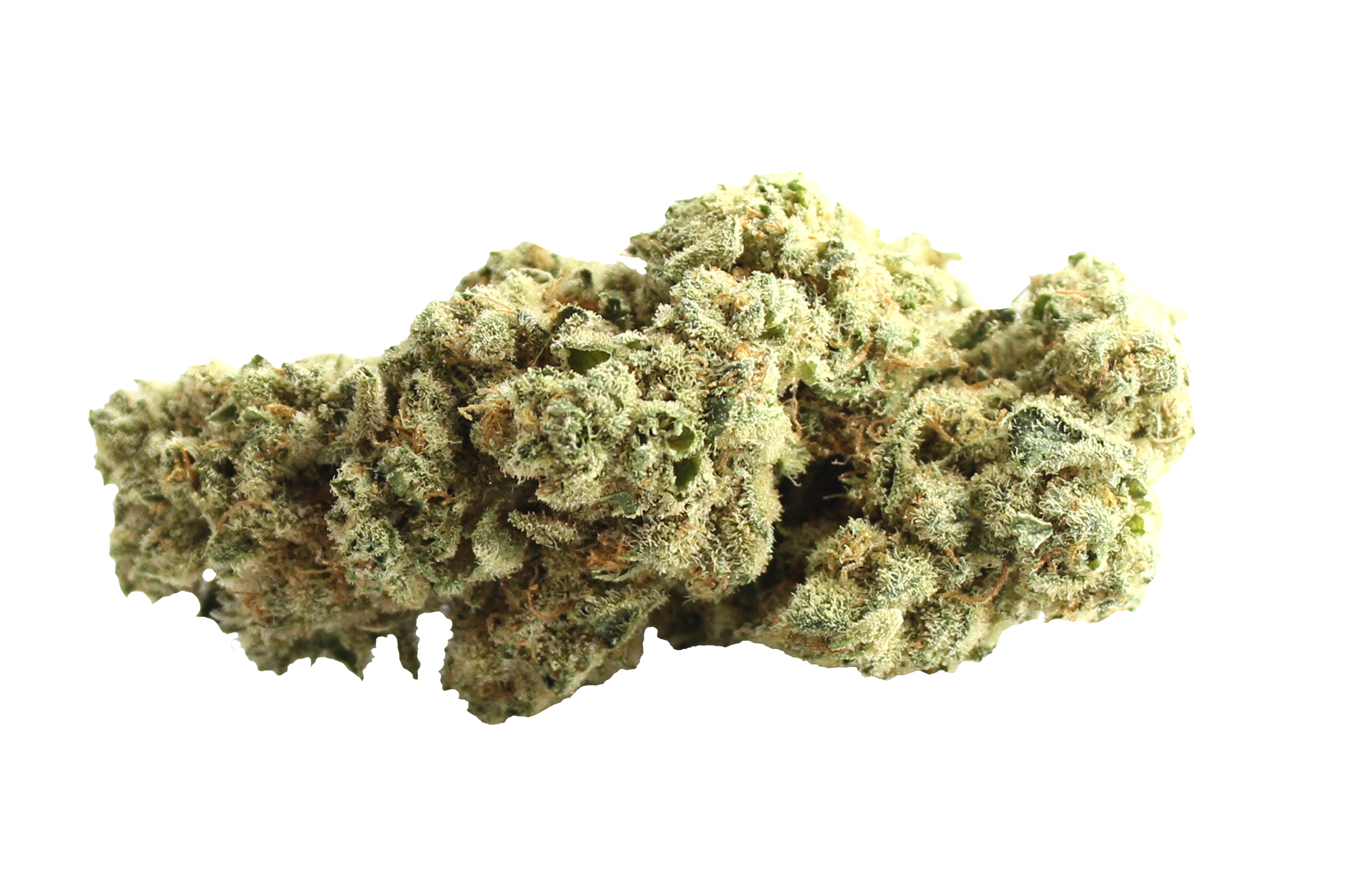 Demecan Craft T4N-G 25-01 Banjo Cannabisbluete