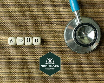 Einsatz von medizinischem Cannabis beim ADHS | GH Academy