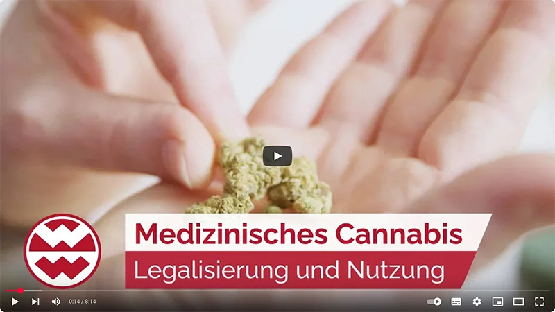 Grünhorn Welt der Wunder YouTube