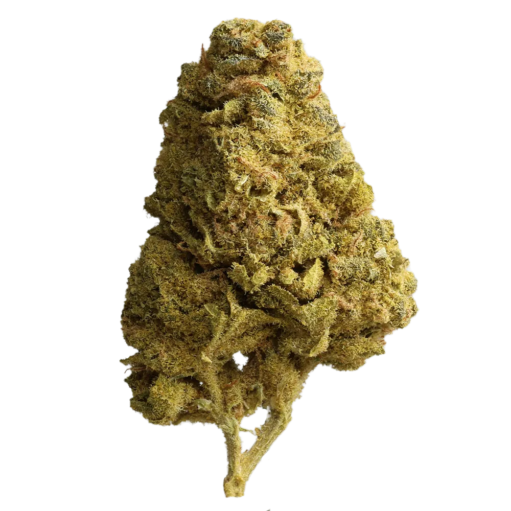 Cannabis flos 18/1 LS Ku. Durban Sky
