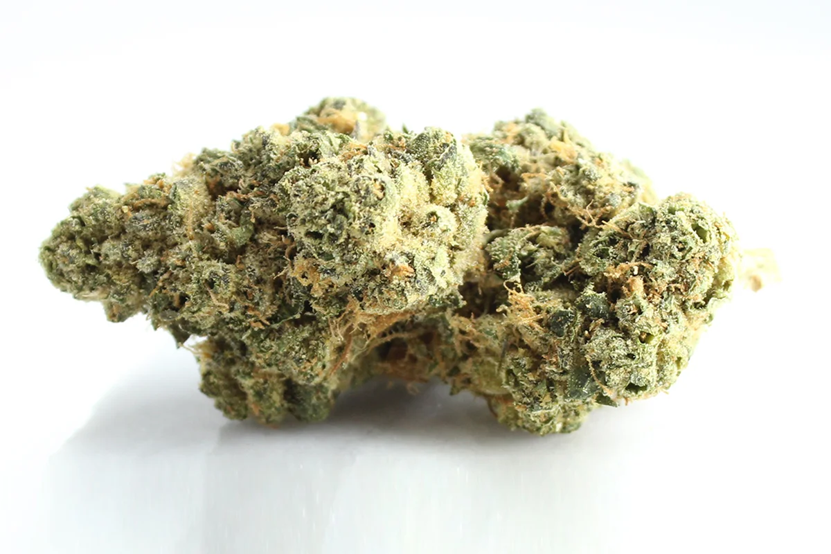 Pedanios 31/1 PND CA Pink Diesel