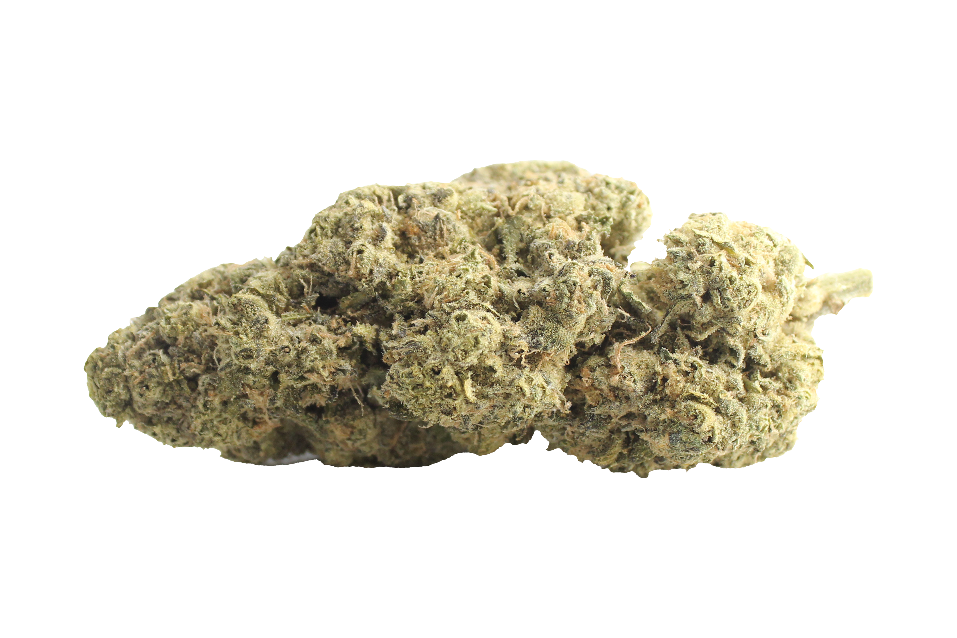 Remexian 27/1 GJY LPP Lemon Pepper Punch Cannabisbluete