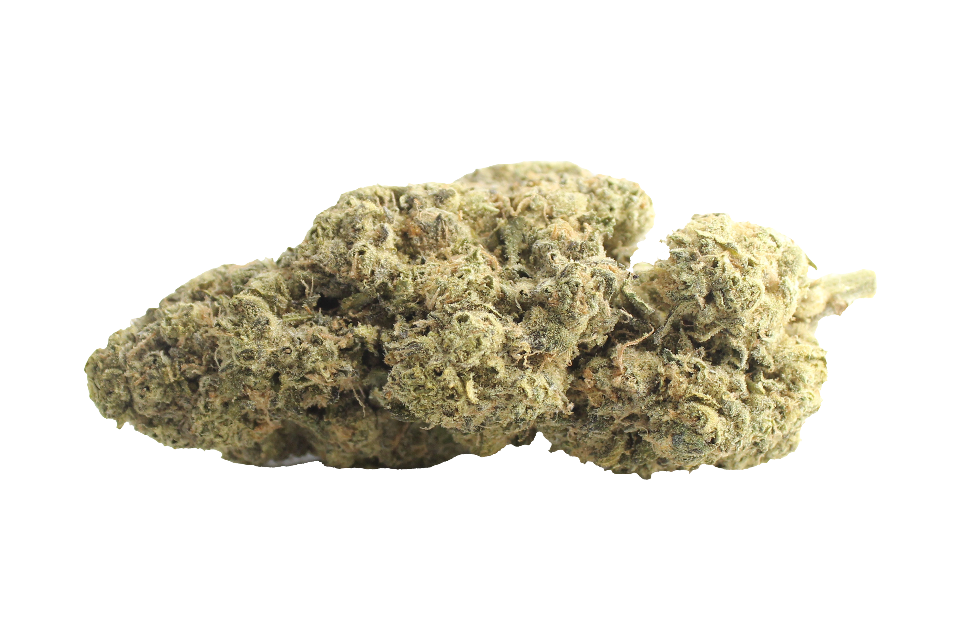 Remexian 27/1 GJY LPP Lemon Pepper Punch Cannabisbluete