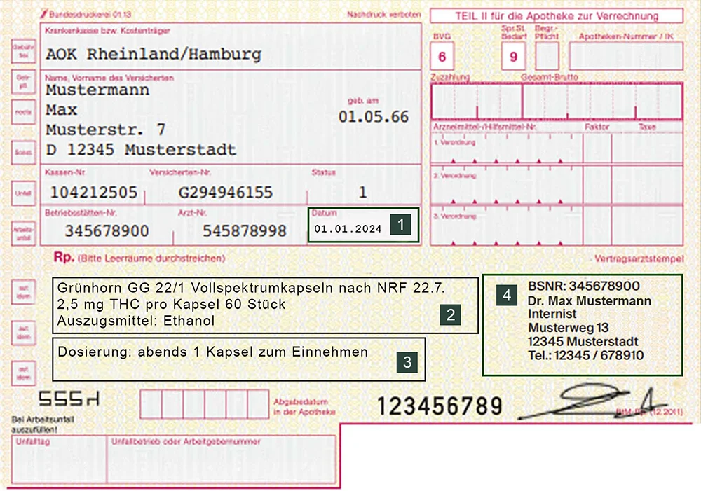 Erforderliche Angaben auf dem BTM Rezept Kapseln
