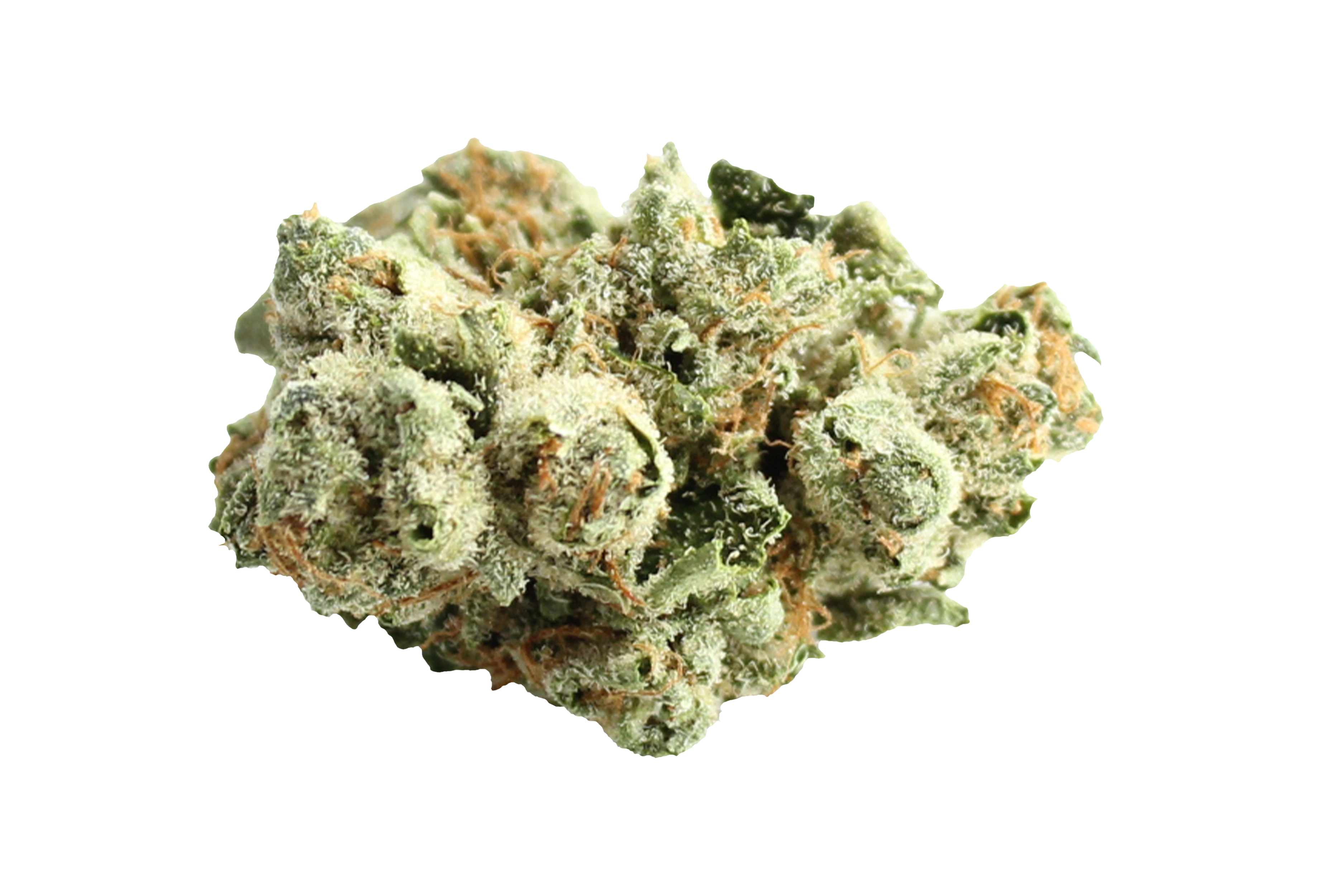 420Pharma 420Sungrown 27/1 CA LLY Legendary Larry Cannabisbluete