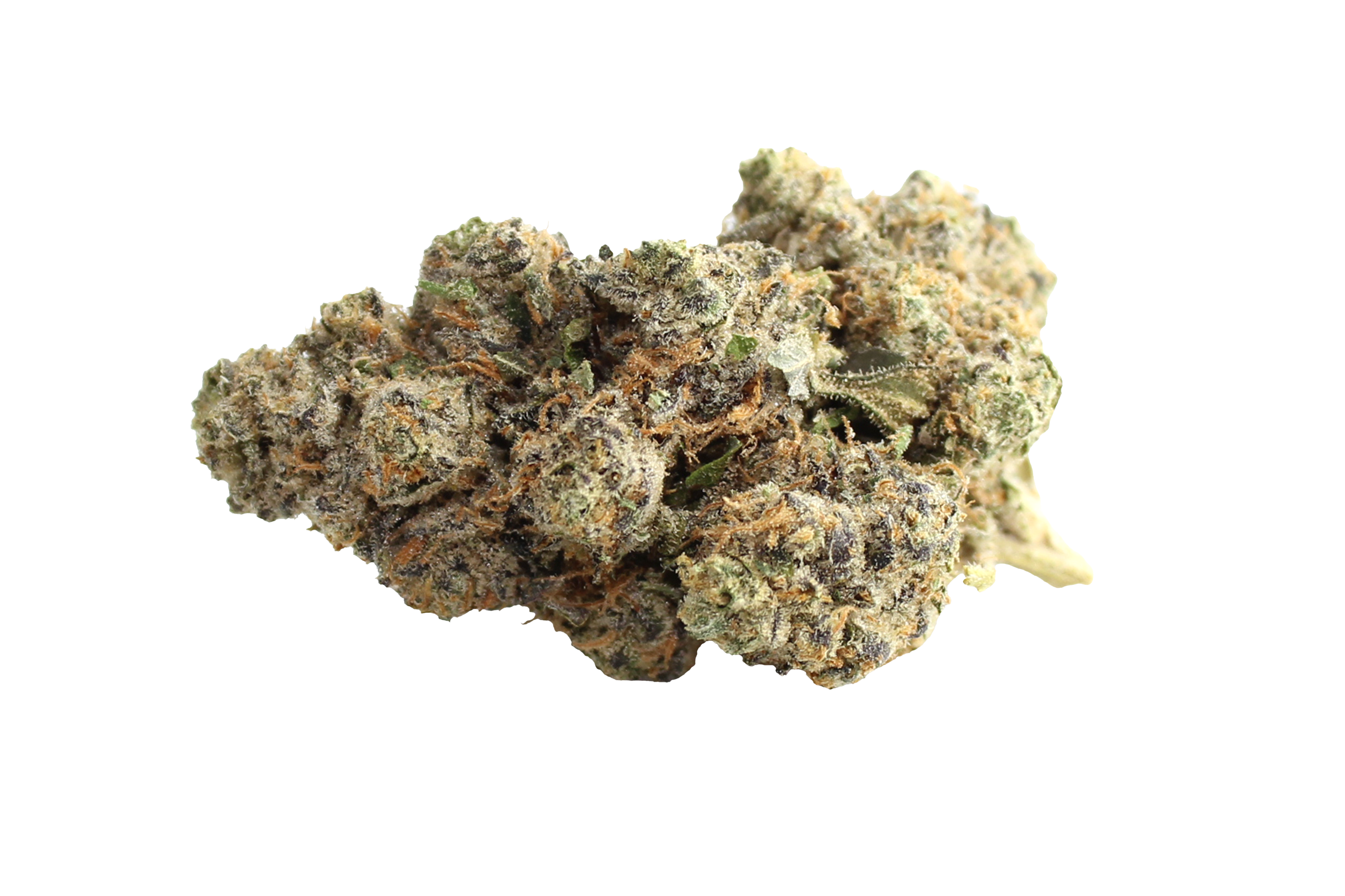 Aurora Pedanios 27/1 FRG-CA Farm Gas Cannabisbluete