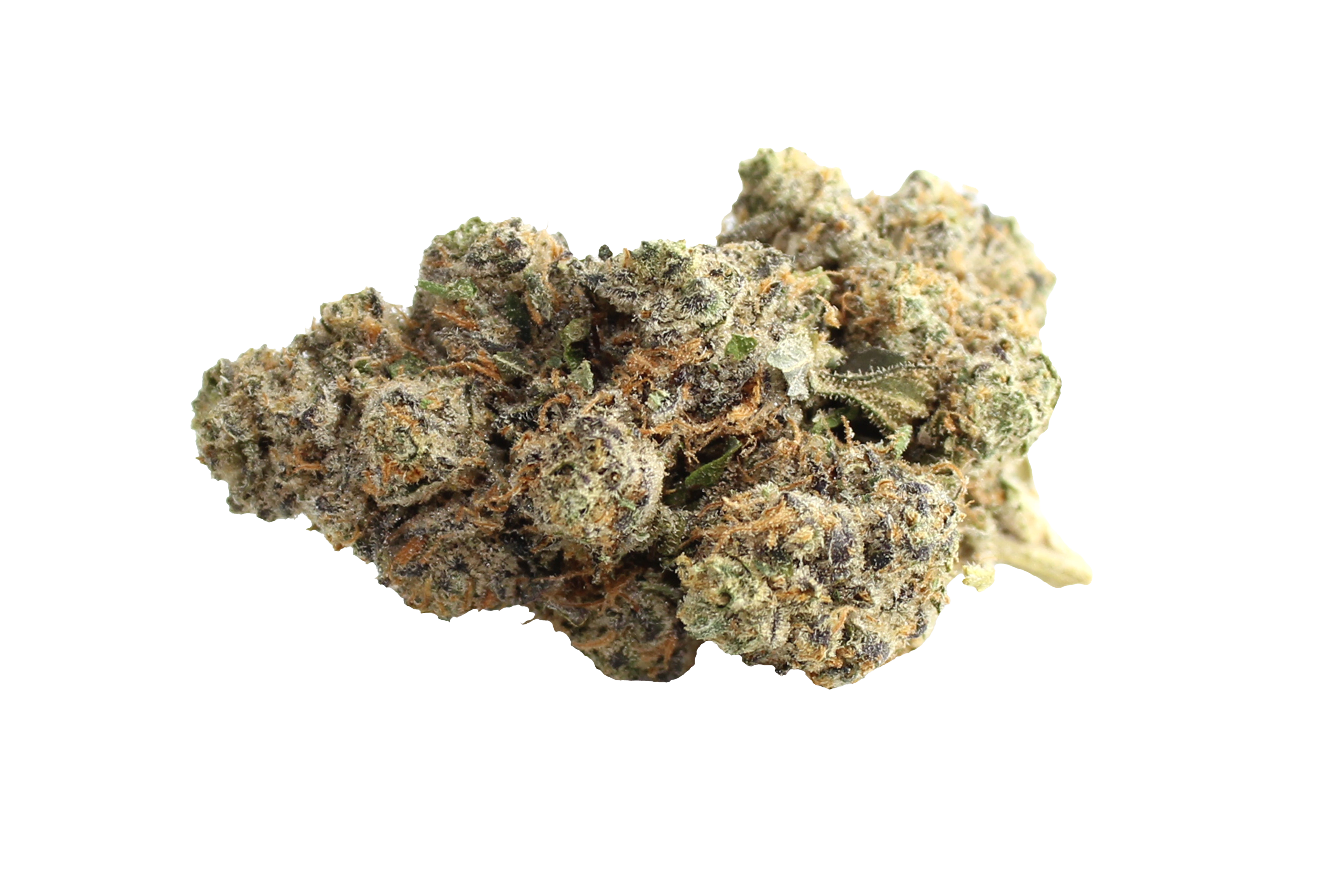 Aurora Pedanios 27/1 FRG-CA Farm Gas Cannabisbluete