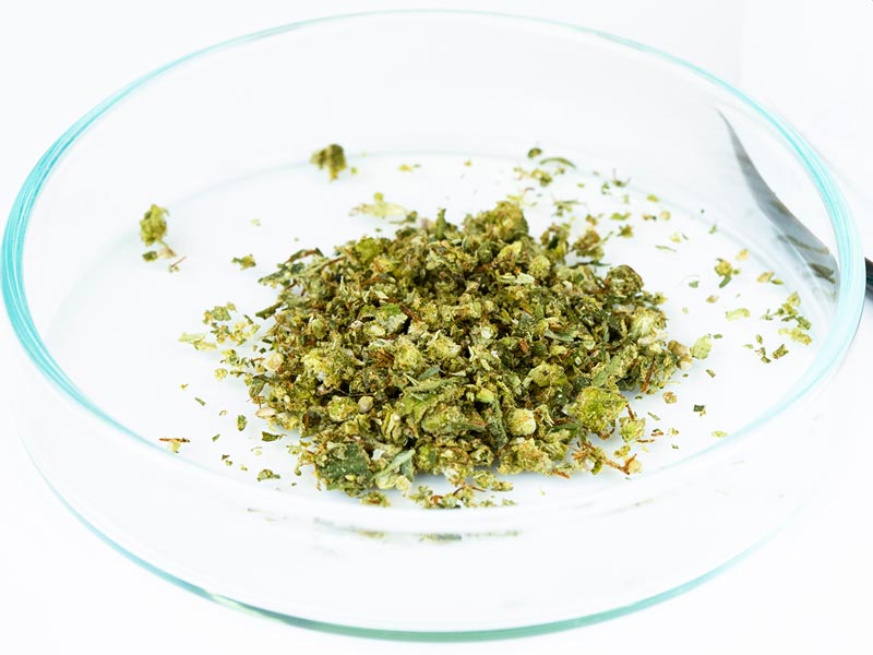 Inhalation und Verdampfung von medizinischen Cannabisblüten