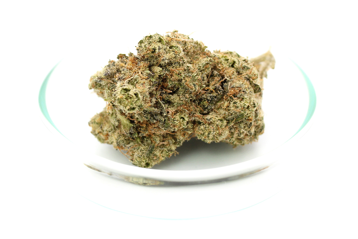 Craft Botanics 27/1 Mimosa