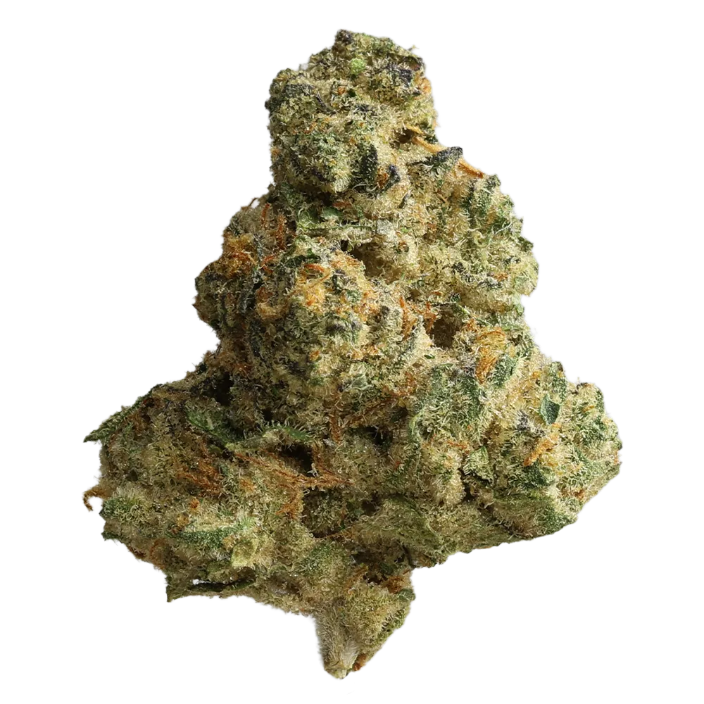 Pedanios 27/1 FRG-CA: Farm Gas