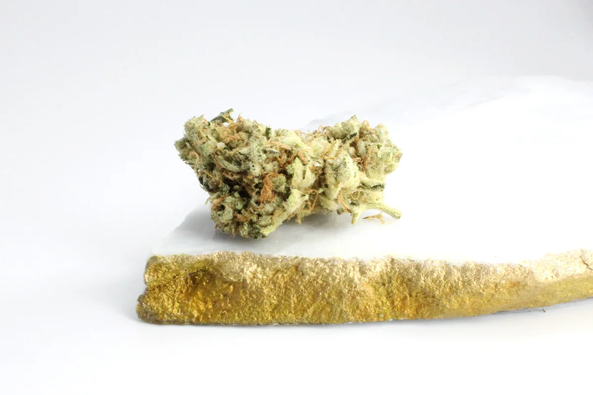 Avaay 28 1 KH Karels Haze