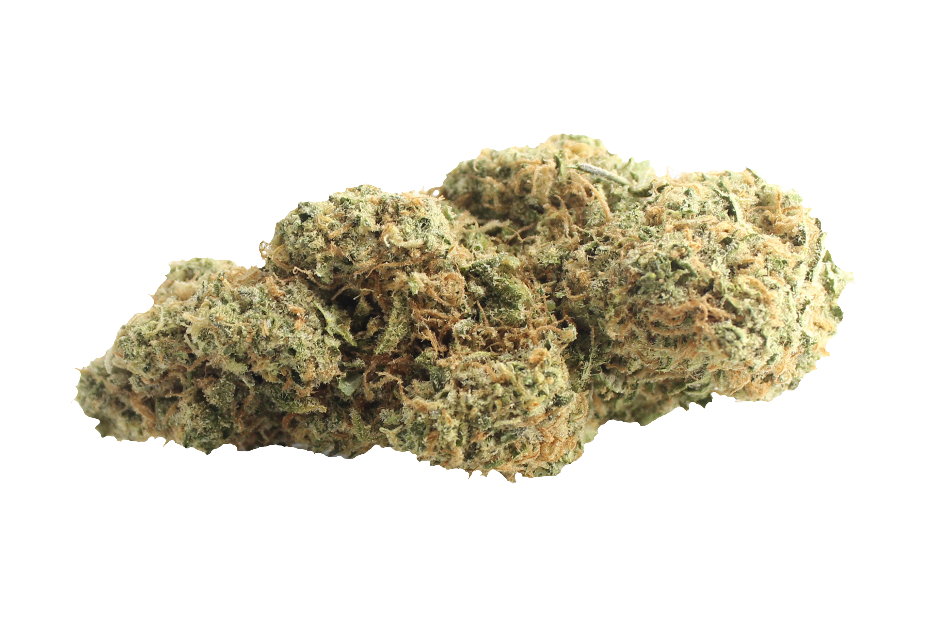 Cannamedical Sativa Forte NM Gelato Dream Cannabisbluete