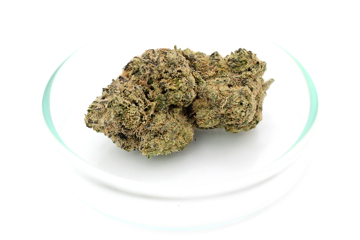 Craft Botanics 27/1 White Runtz