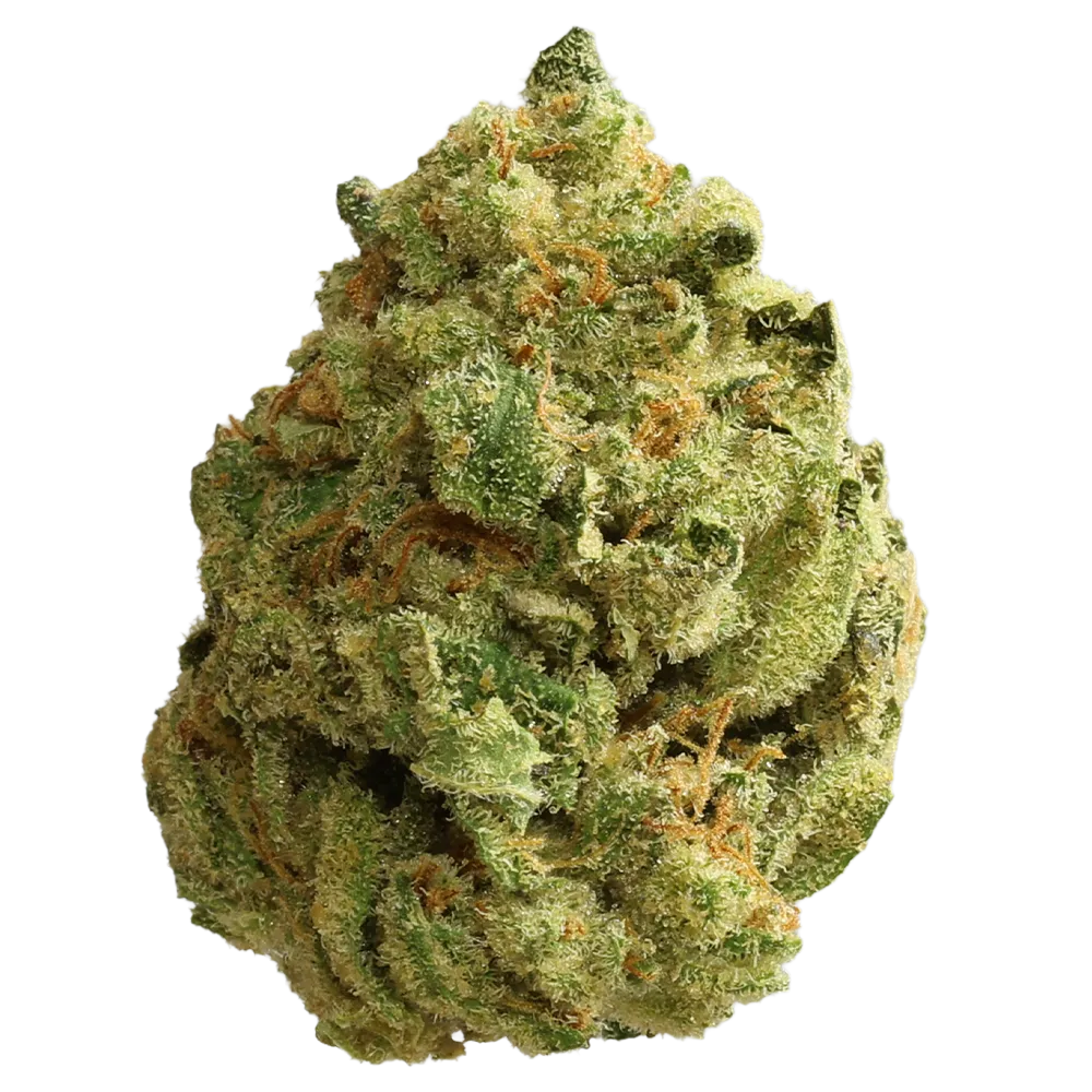 Cannamedical Sativa Forte NM Amsterdam Amnesia
