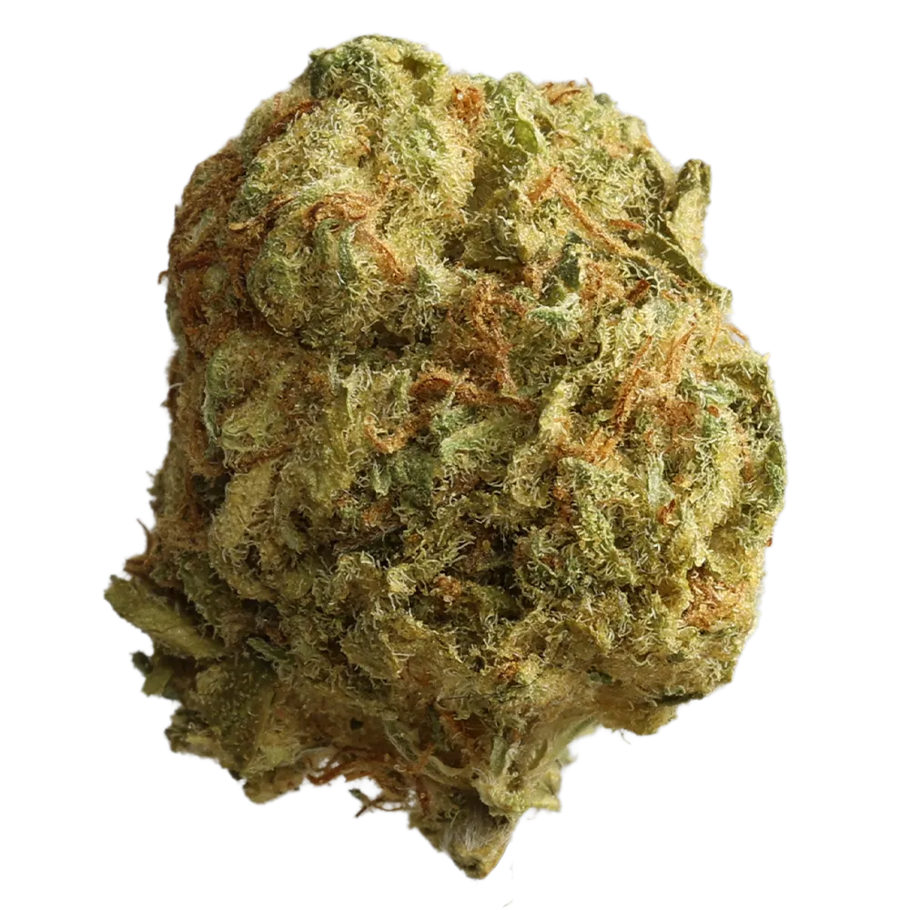 Cannabis flos 18/1 LS Ku. Exodus Cheese 