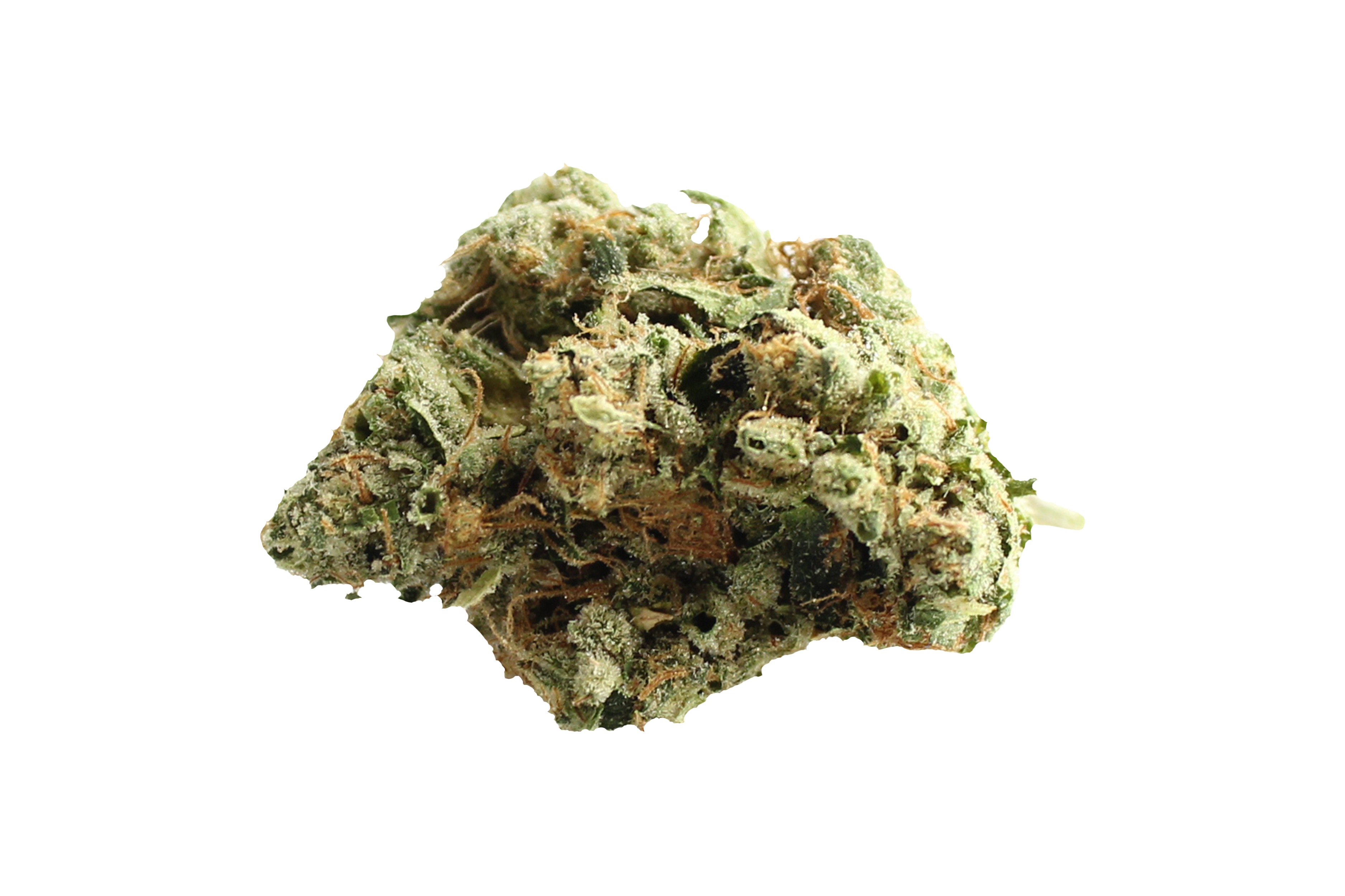 Four20Pharma 420 Evolution 25/1 CA BUL Bucket List Cannabisbluete