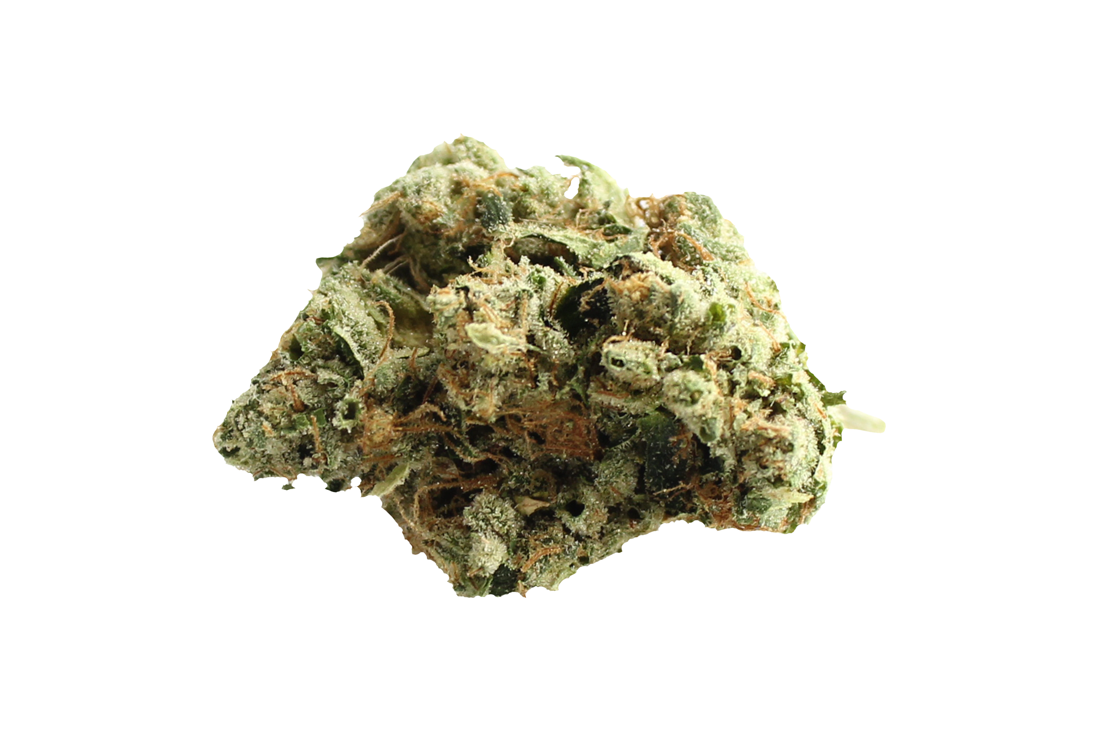 Four20Pharma 420 Evolution 25/1 CA BUL Bucket List Cannabisbluete