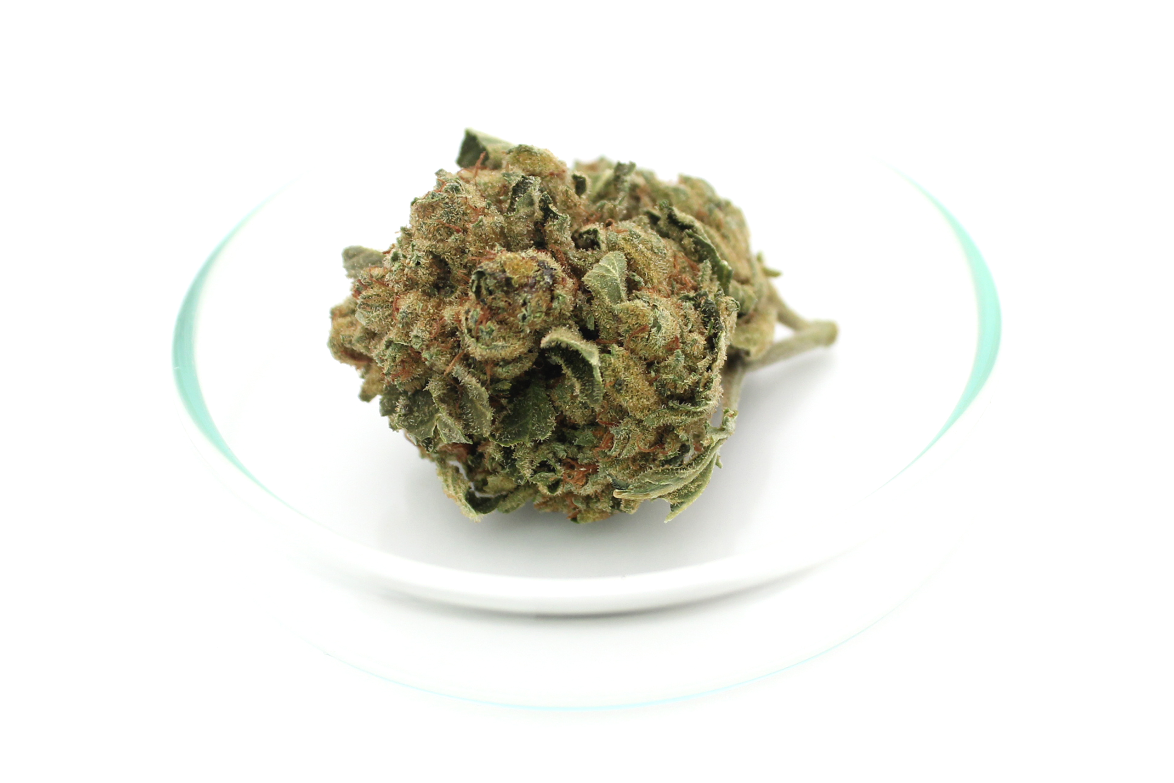 Cannabis Flos Weeco 23/1: Frosted Lemon Angel