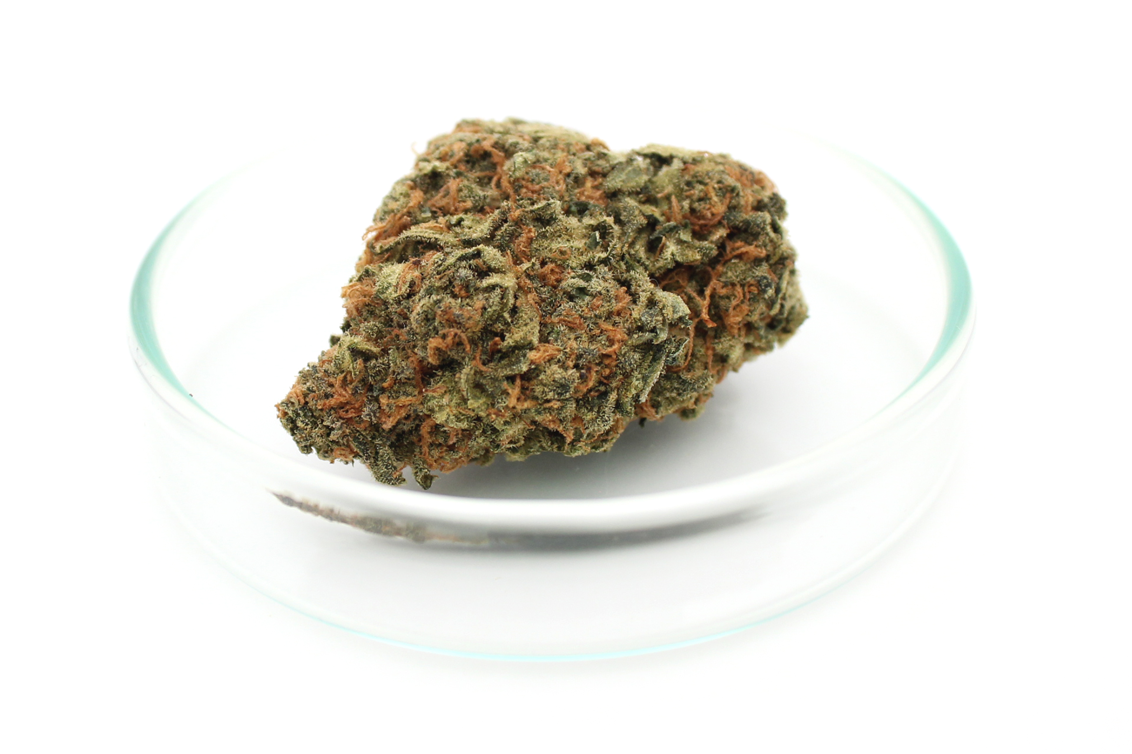IMC Balanced 7/8 B01: Blue Dream
