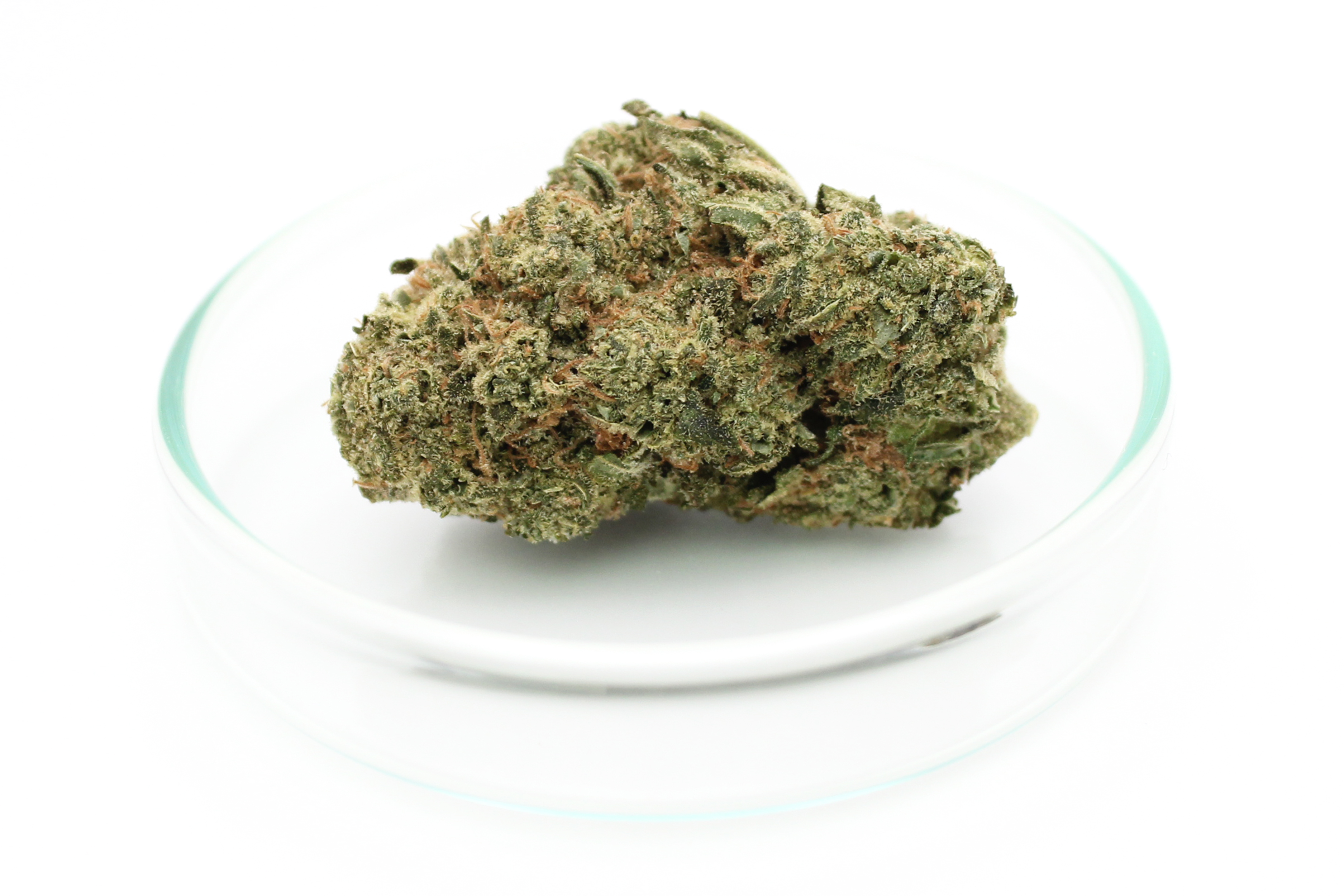 enua 30/1 LHZ CA: Lemonade Haze
