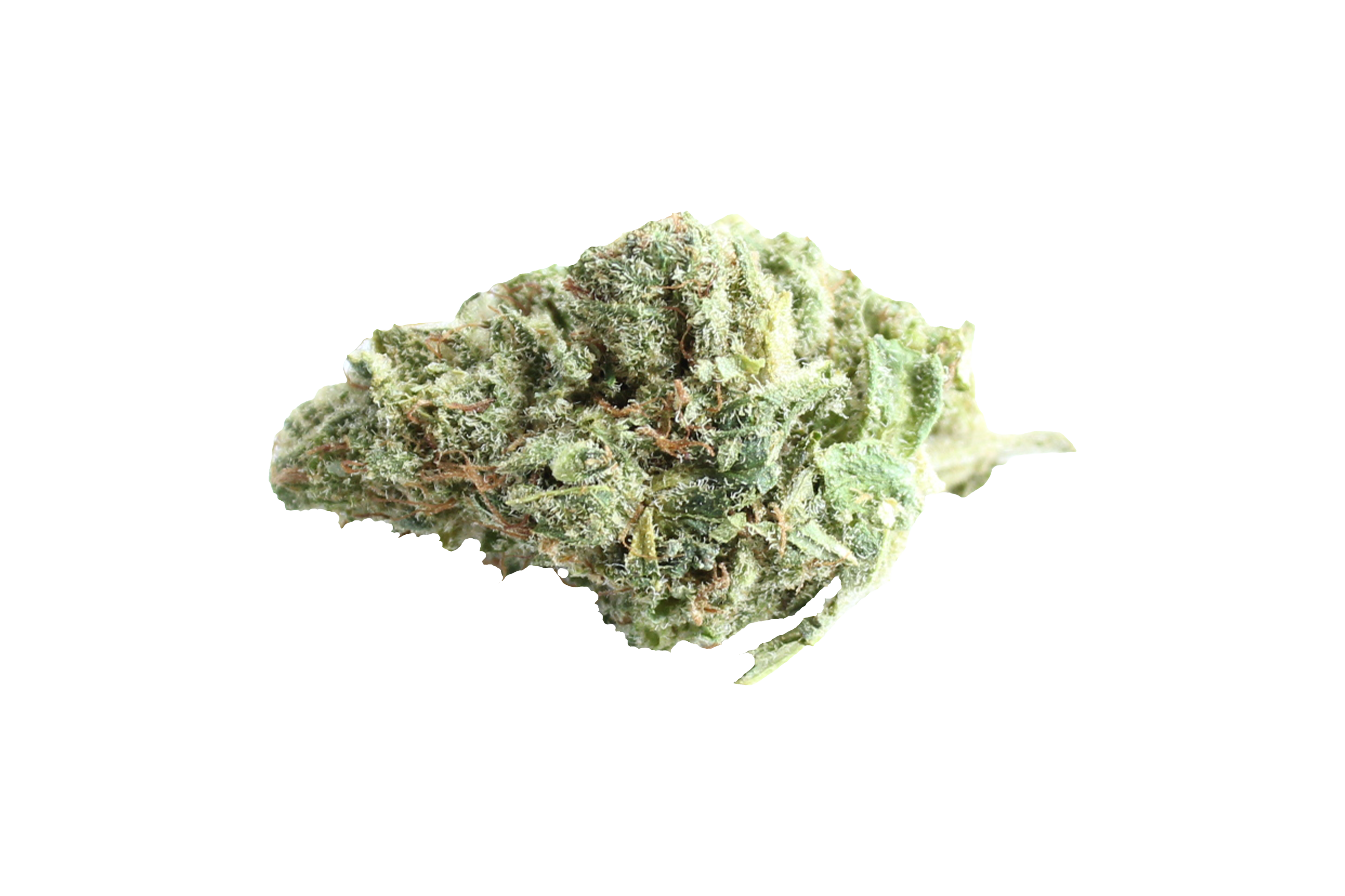420Pharma 420Sungrown 25/1 CA ZRP Zour Apple Cannabisbluete