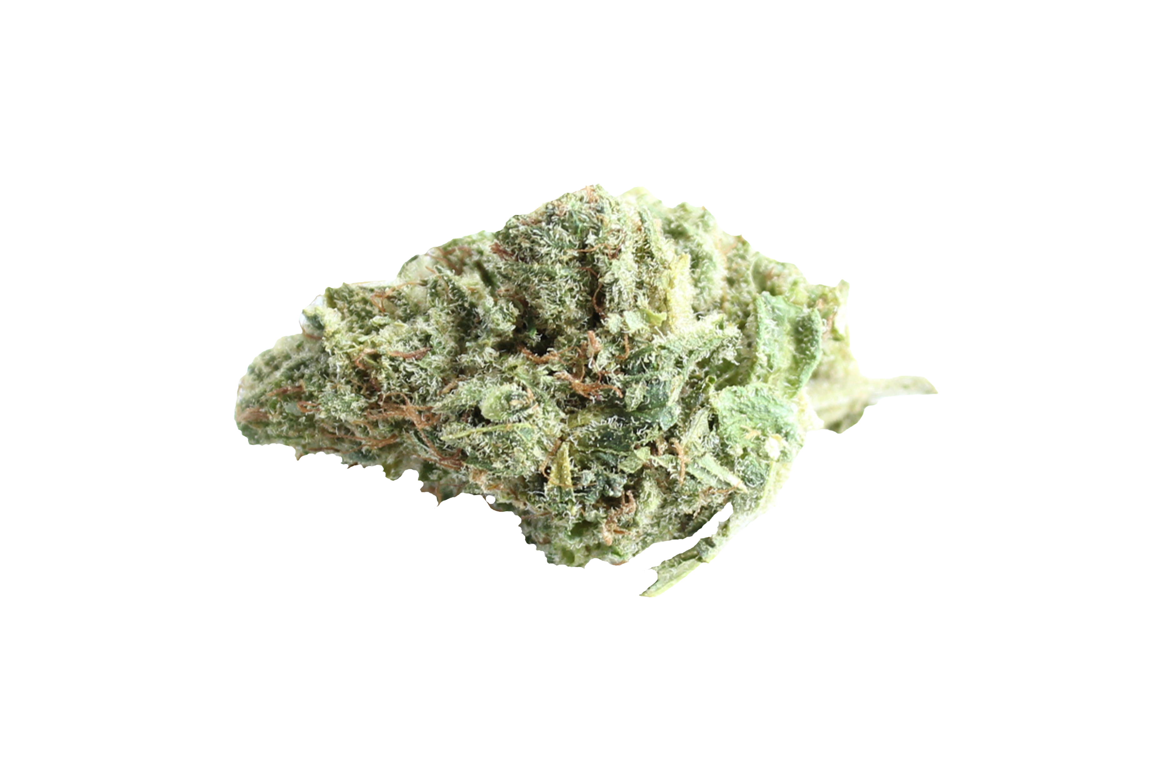 420Pharma 420Sungrown 25/1 CA ZRP Zour Apple Cannabisbluete