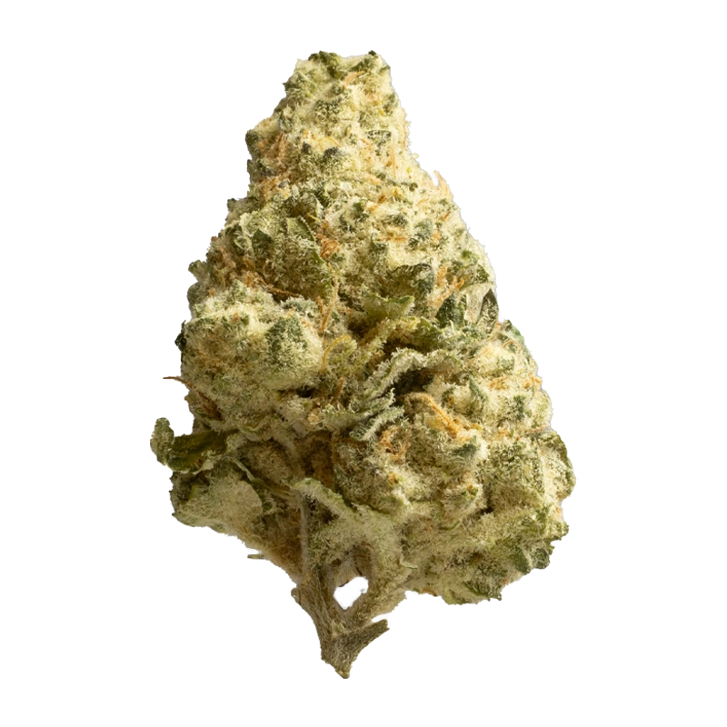 Zoiks 26/1 BB: Ben & Berries