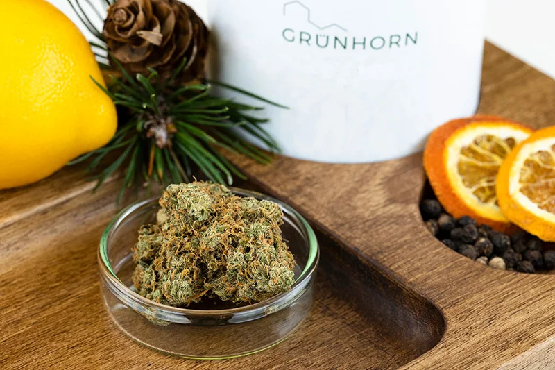 Grünhorn Cannabis Blüten und Sortenfinder-