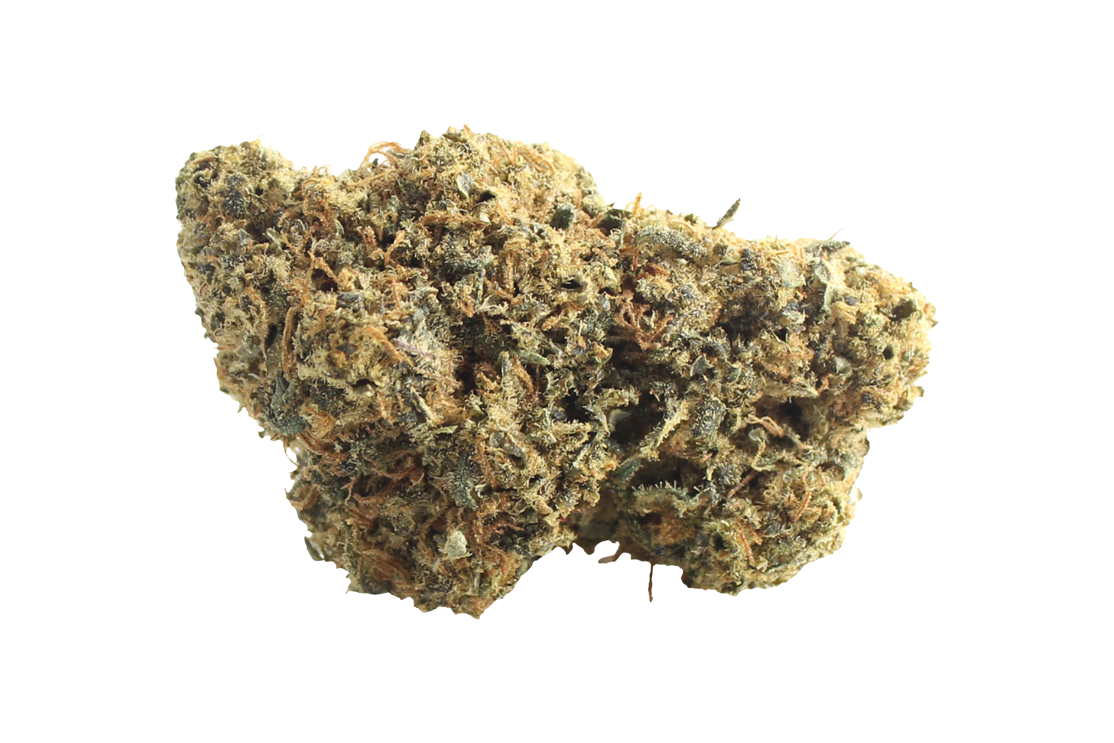 Remexian Balanced CNF Mango Cheese Cannabisbluete