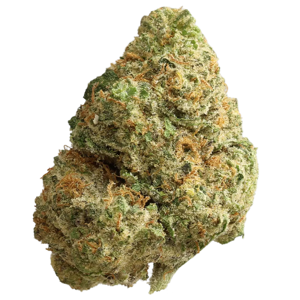 Madrecan 24/1 Garlic Budder