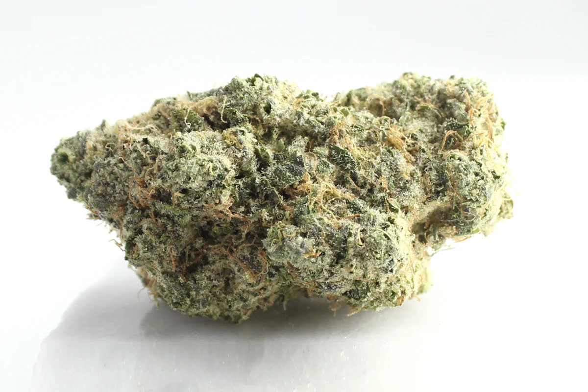 Avaay Signature 34/1 OGC Oceans Grown Cookies