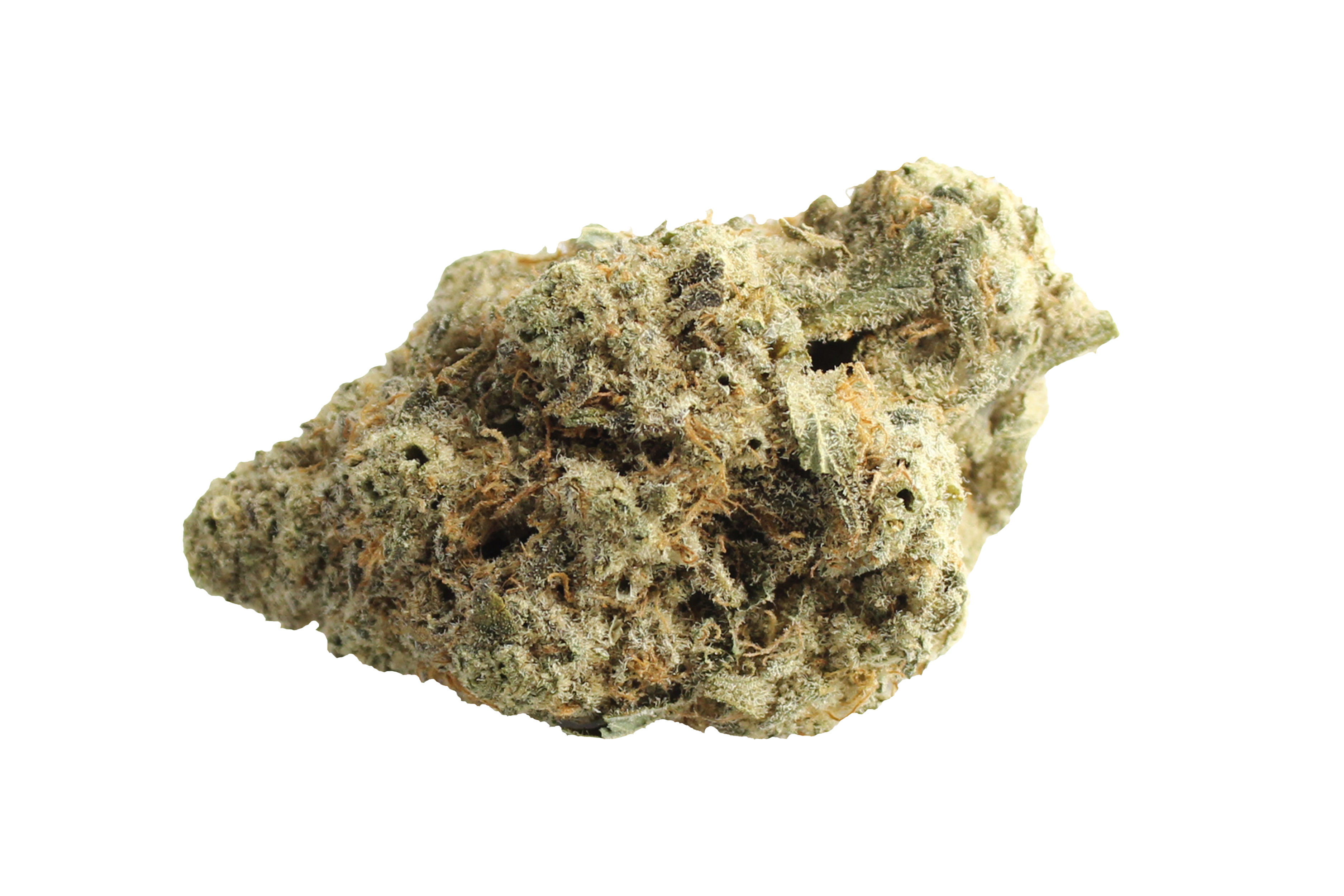 Avaay 29/1  SCP Sour Cherry Punch Cannabisbluete