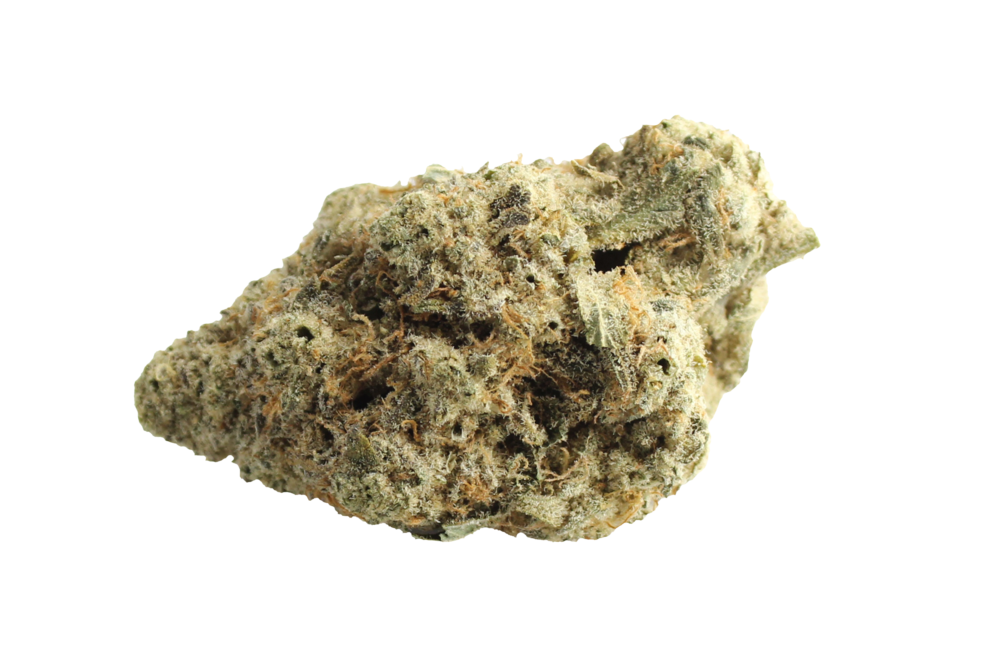 Avaay 29/1  SCP Sour Cherry Punch Cannabisbluete