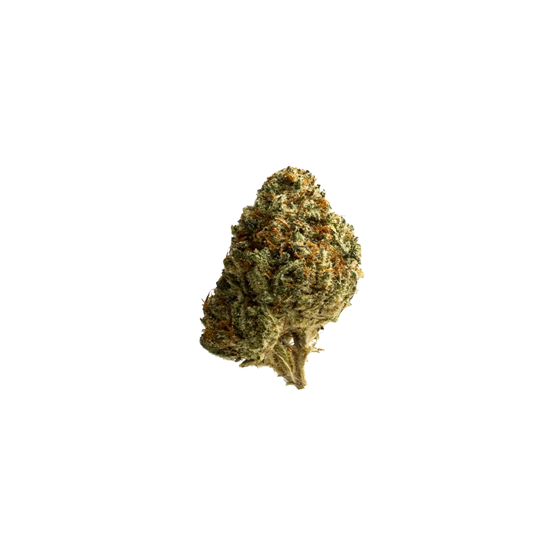 Zoiks 22/1 SR: Space Rider