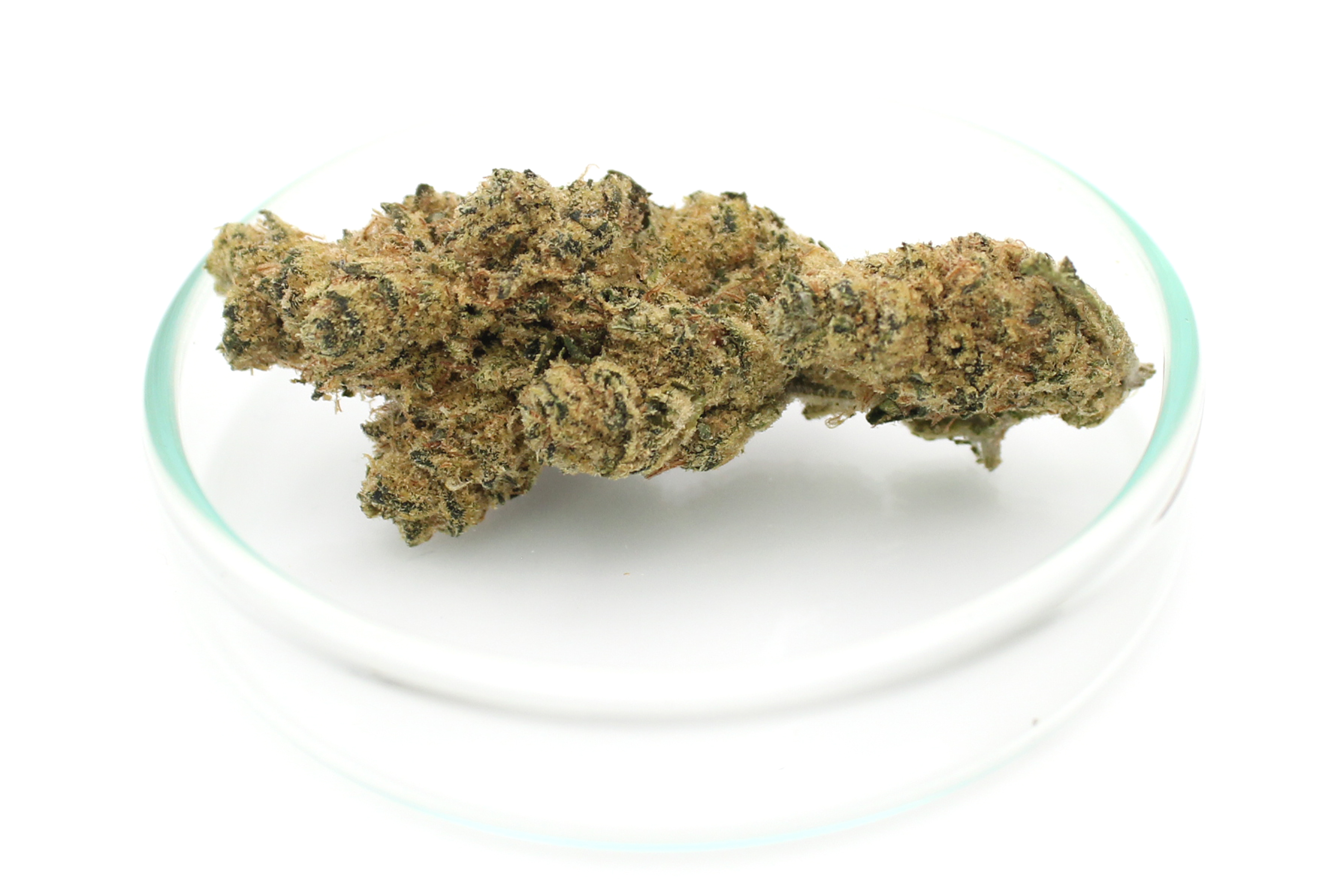 Peace Naturals 31/1 GC: GMO Cookies