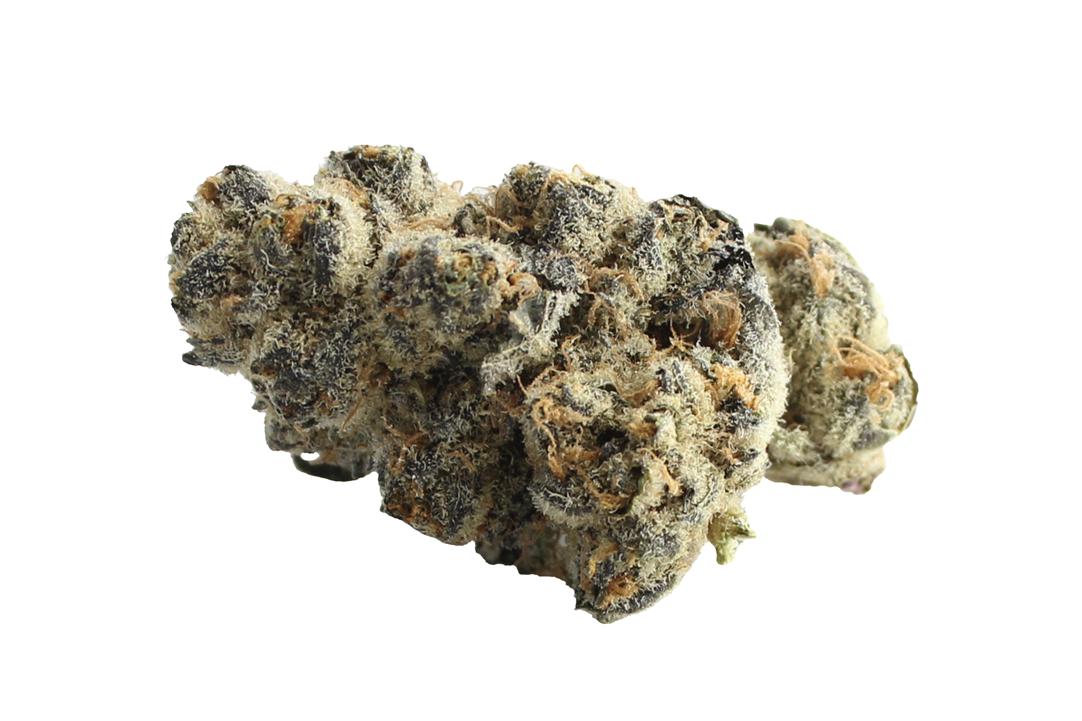 Gruenhorn BC 24/1 A&G Apples and Gas Cannabisbluete