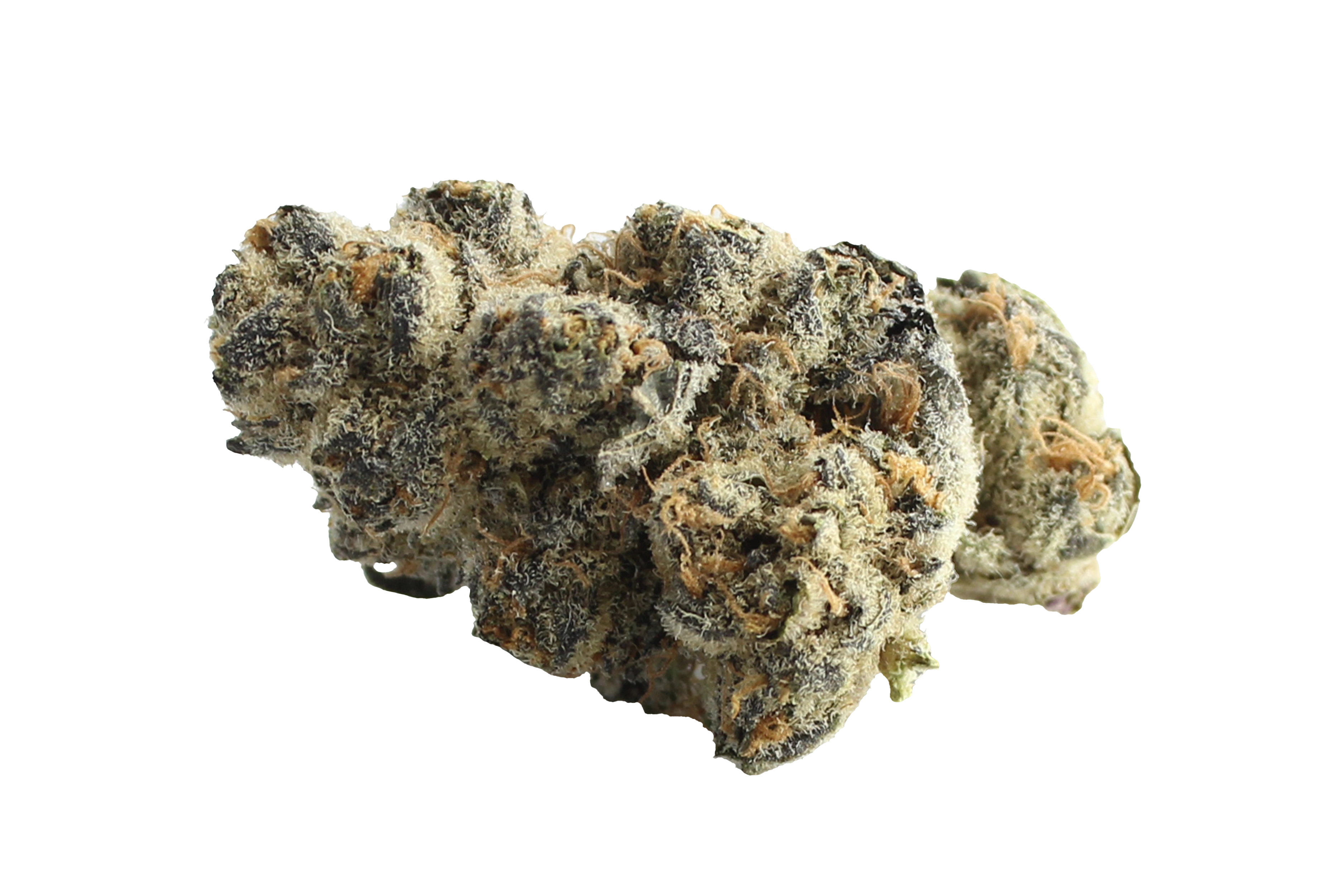 Gruenhorn BC 24/1 A&G Apples and Gas Cannabisbluete