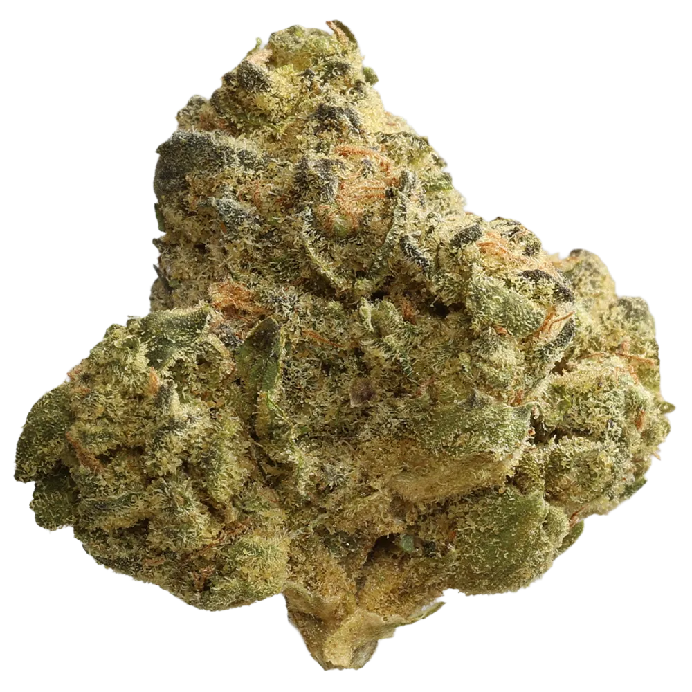 Remexian 24/1 PRT Strawberry Cookies