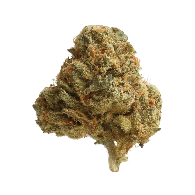 420 Compound 27/1 CA GAP: Gastro Pop