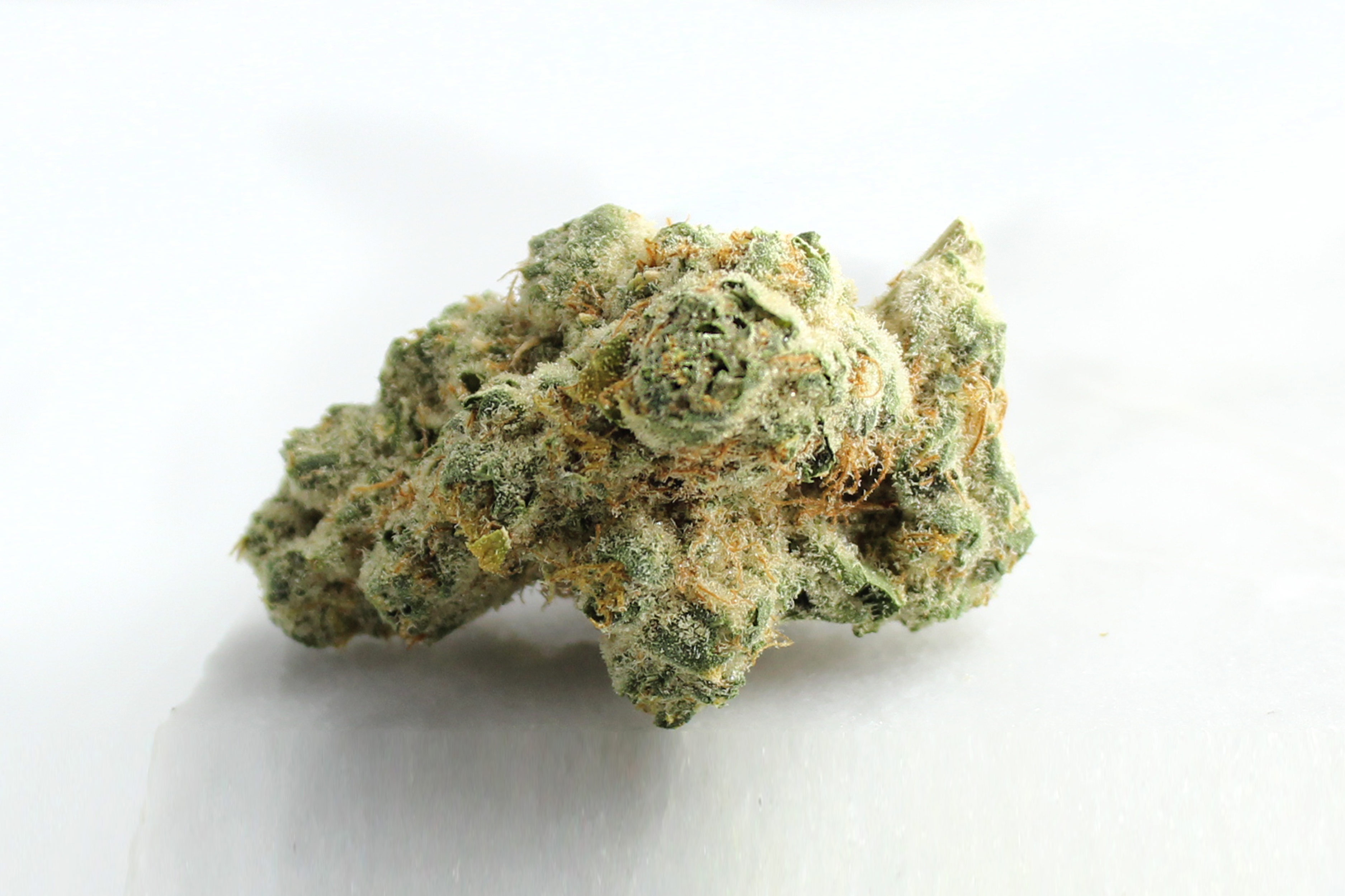 420 Evolution 33/1 CA PCH: Peach Chementine