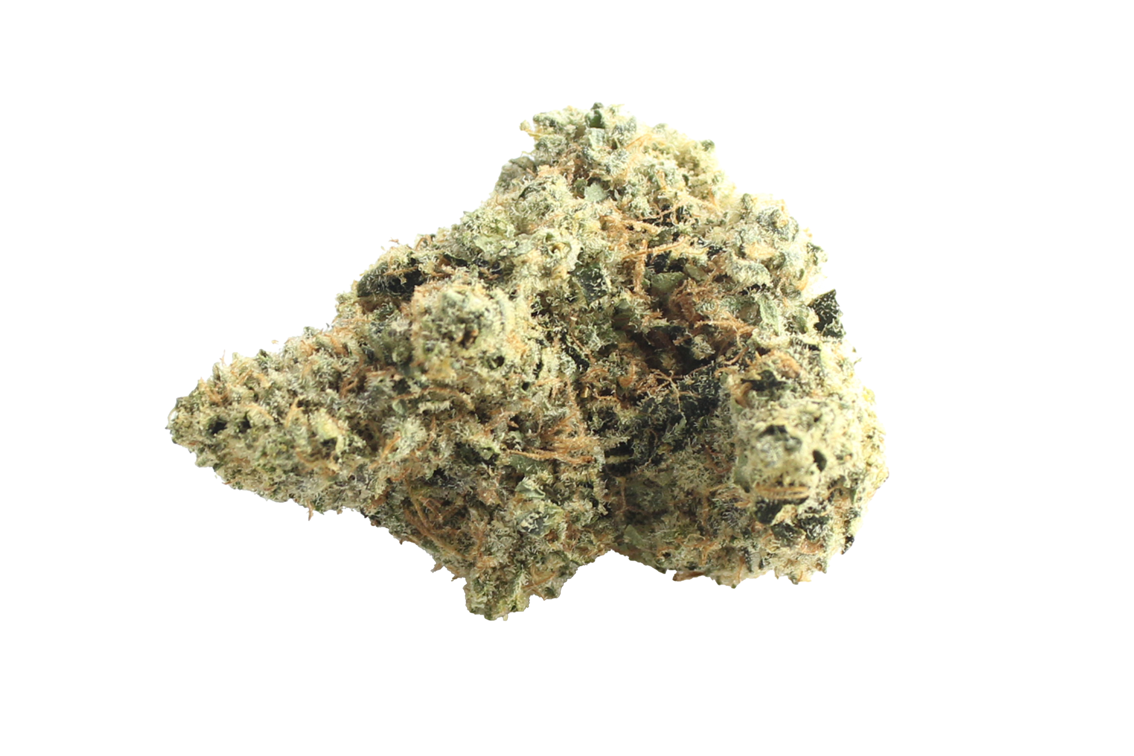 Bathera 28/1 Blue Z Cannabisbluete