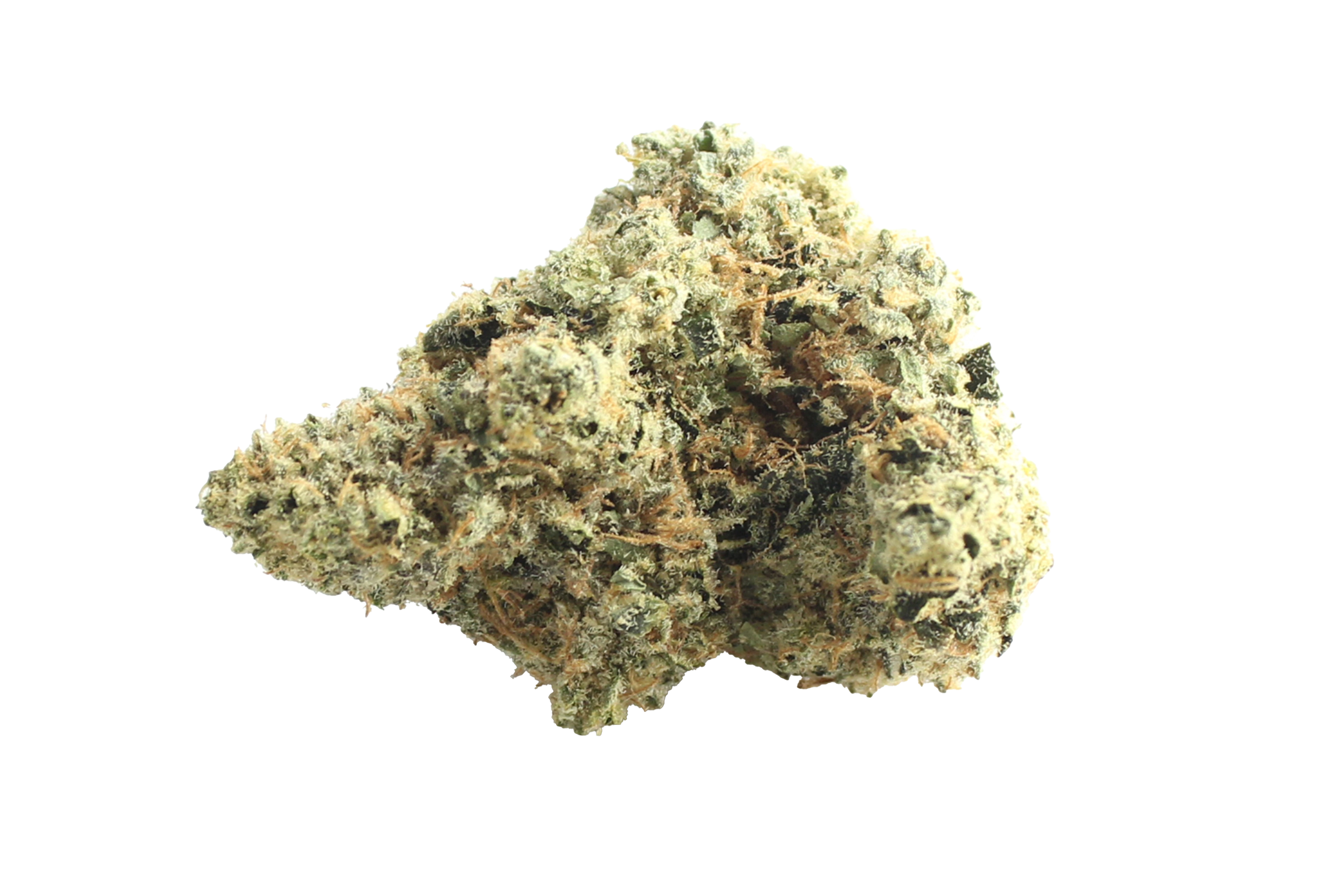 Bathera 28/1 Blue Z Cannabisbluete