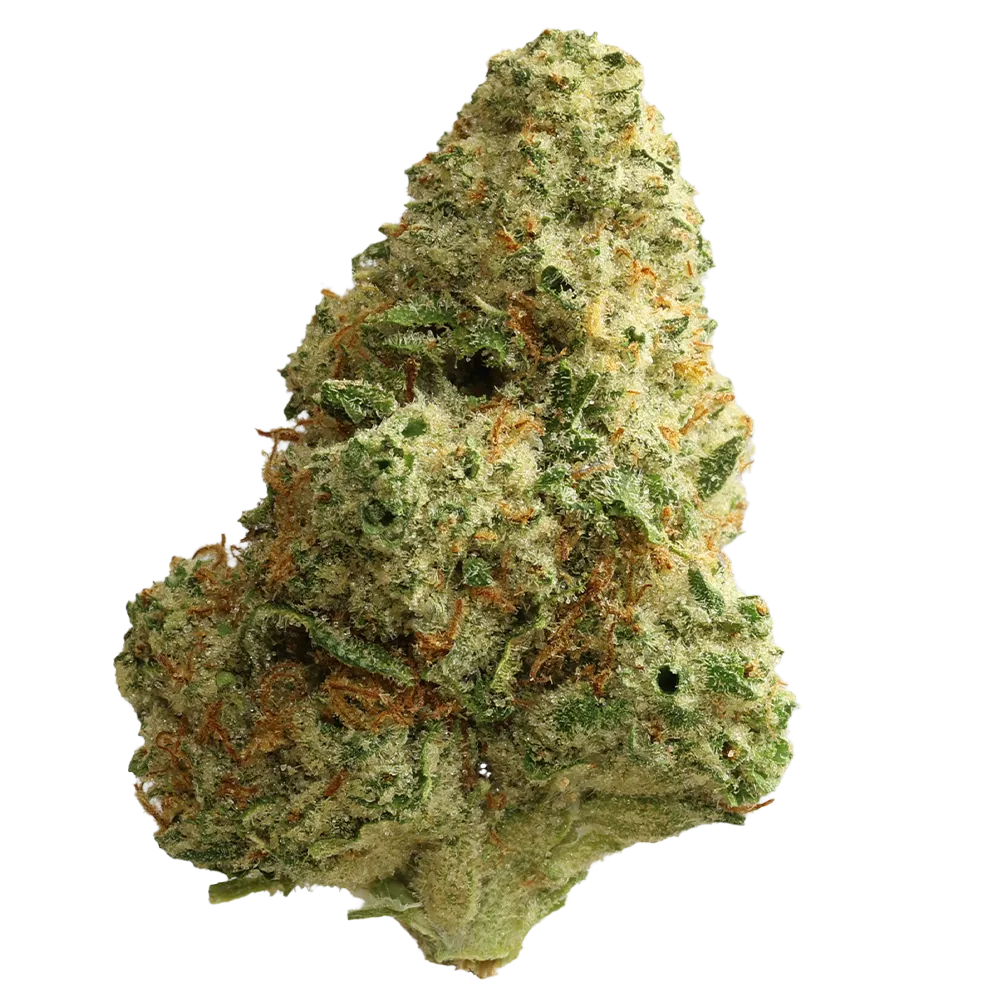 Cannamedical Hybrid Ultimate SF Afghan Bubba Kush